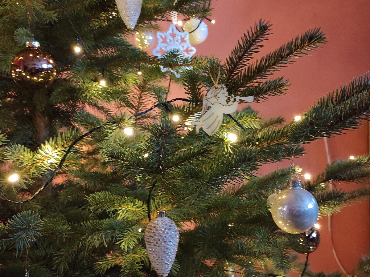 Jaké byly Vánoce 2020/My Christmas&nbsp;2020